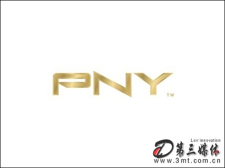 PNY PNY 8621-GTH3 l 256M@